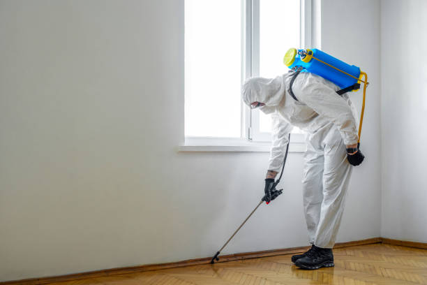 Best Flea Control Services  in Audubon, PA
