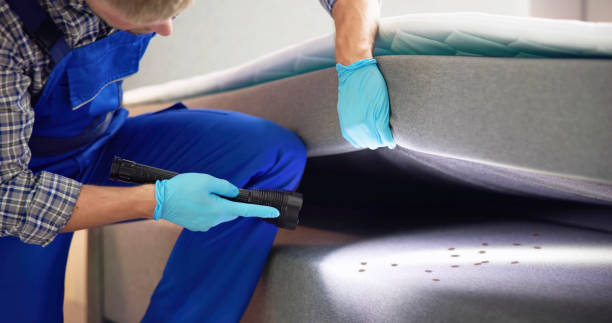 Best Residential Pest Control  in Audubon, PA