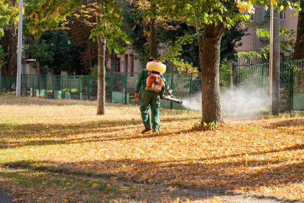Best Local Pest Control Services  in Audubon, PA